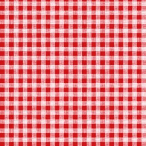 GINGHAM & CHECK WIPE CLEAN TABLECLOTHS