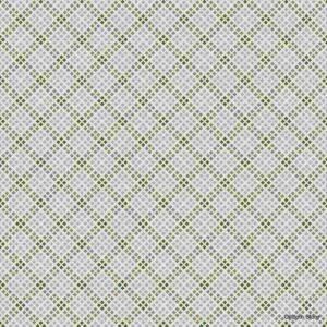 Stylish Green Lattice Wipe Clean Tablecloth – Modern and Practical